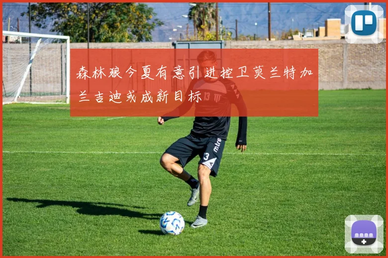 森林狼今夏有意引进控卫莫兰特加兰吉迪或成新目标