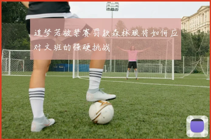 追梦若被禁赛罚款森林狼将如何应对文班的强硬挑战
